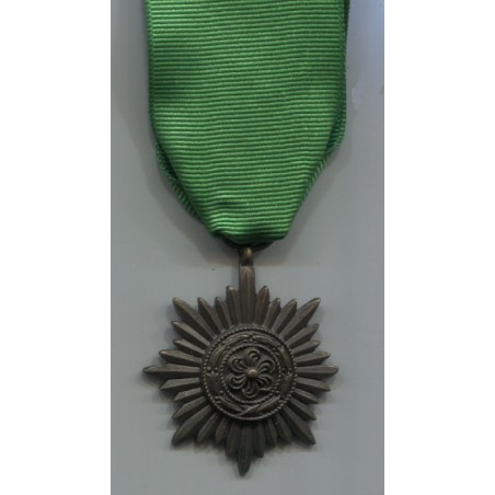 Meta title-insignia