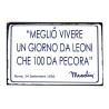 35X26 CM. GRANDE