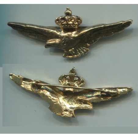 Brevetto da pilota militare mod. 1930