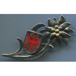 Distintivo edelweiss con scritta Landesverteidigung difesa territoriale
