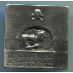 Distintivo sturmtruppe Ungheresi Sturmbaon 81. Dimensioni: 30x30 mm