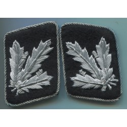 Gruppenfhrer e Generalmajor delle WaffenSS