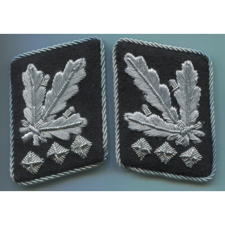 Oberstgruppenfhrer e Generaloberst delle WaffenSS