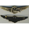 Aircraft Pilot of RSI