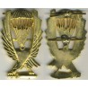 Battaglione P  P Battalion