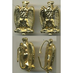 Insignias M.V.S.N.