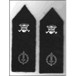 Rgt. Arditi Officers