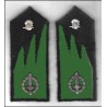 Rgt. Antiguerilla