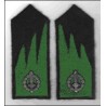 Cacciatori delle Alpi  Hunters of the Alps