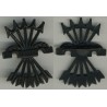 Flechas Negras Black Arrows