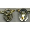 Pilots badge 193645