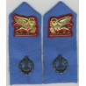 Infantry Rgt. of X  MAS Fleet