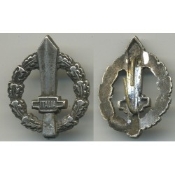 Fascist badges for insignias