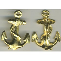 Intruders cap badge