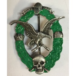 Austrian Stormtrooper badge