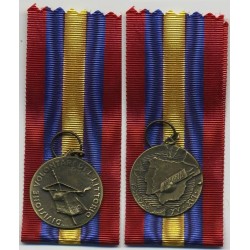 Div. Volontari del Littorio