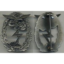 ERDKAMPFABZEICHEN 50 Assaults