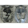 Brevet for fight on earth