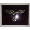 German eagle in a frame 20x15 cm