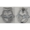 Powered Aircraft Pilot Qualification Badge Type 2
