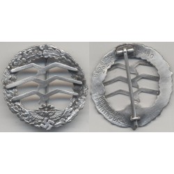 Large Glider Pilots Badge