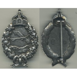 Aviation silver badge