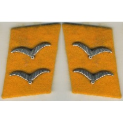 Flight Acting Corporal collar tabs on golden yellow