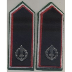 Insignias of the volunteers of the mutilated battalion