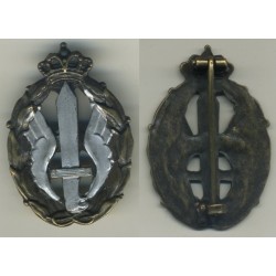 Royal Navy: Assault and combat