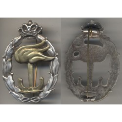 Royal Navy: maritime reconnaissance  brevet