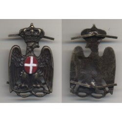 Helmet badge of PAI