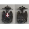 Helmet badge of PAI