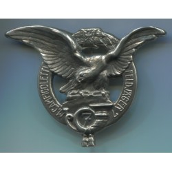 Badge of the 7th Feldjger Battalion. Dimensions: 65x50 mm