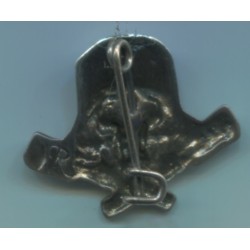 Meta title-insignia