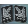 Oberstgruppenfhrer and Generaloberst of the WaffenSS