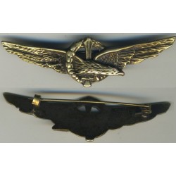 Meta title-Abzeichen Aeronautica Nazionale Repubblicana