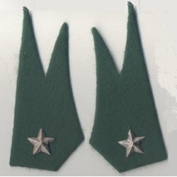 Meta title-mostrine Alpini