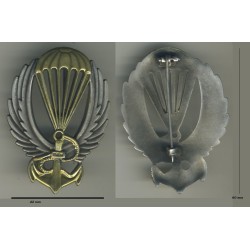 Fallschirmjäger-Schwimmer