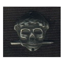 Arditi skull