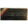Aluminiumplatte cm 25 x 11