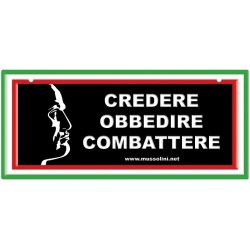Aluminiumplatte cm 25 x 11