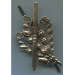 Skifahrer bronzen Abzeichen