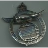 Meta title-insignia