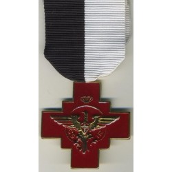 Croce commemorativa spedizione Csir Armir
