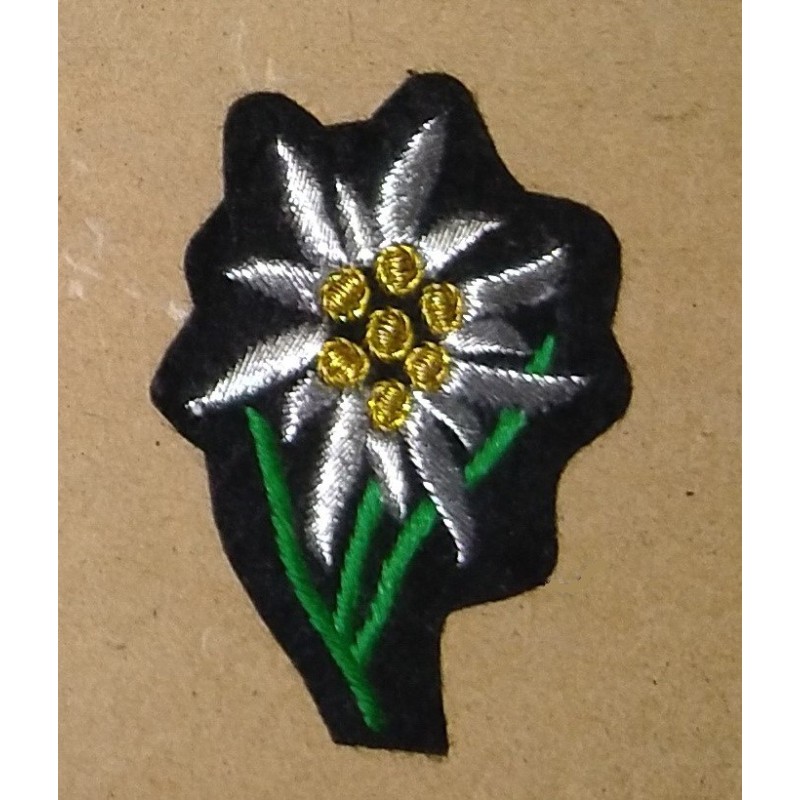 colored Edelweiss