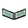 Heer officer of mountain troops collar tabs. Dark green background