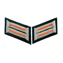 Heer officer collar tabs. Dark green background