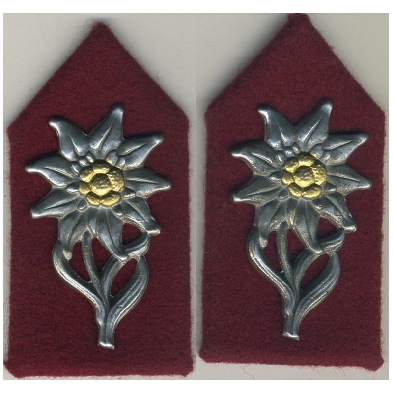 Partigiani