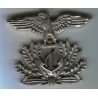 Beret badge of the Republican National Navy