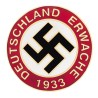 Distintivo smaltato convesso